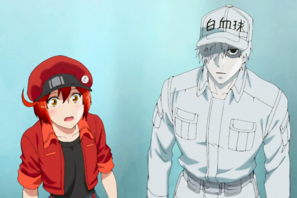 Red Blood Cell x White Blood Cell